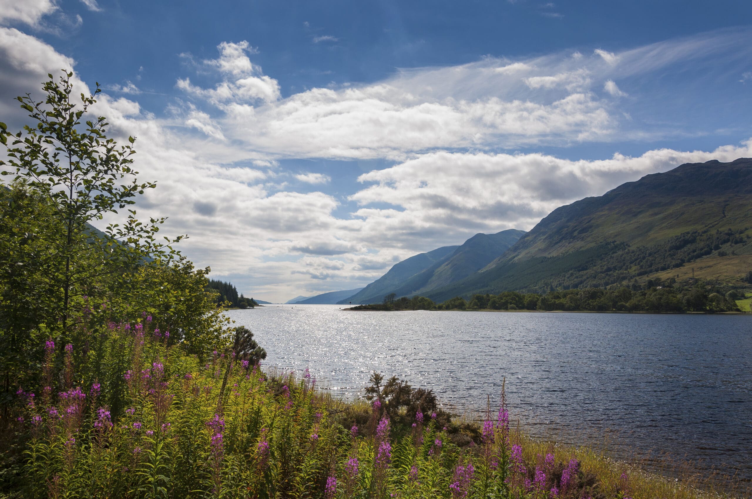 View of the Loch Ness, in Scotland